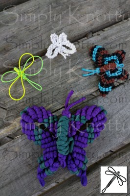 Butterfly_Variety